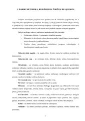 Sodybos sutvarkymo projektas: M. Balašaičio sodyba 7 puslapis