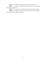 Sodybos sutvarkymo projektas: M. Balašaičio sodyba 8 puslapis