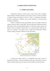 Sodybos sutvarkymo projektas: M. Balašaičio sodyba 9 puslapis