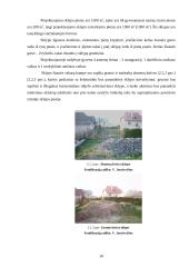 Sodybos sutvarkymo projektas: M. Balašaičio sodyba 10 puslapis