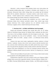 Informacijos ir duomenų saugumas 2 puslapis