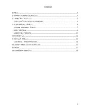 Informacijos kaupiklių rūšys ir veikimo principai 2 puslapis