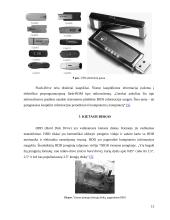 Informacijos kaupiklių rūšys ir veikimo principai 13 puslapis