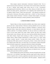 Informacijos kaupiklių rūšys ir veikimo principai 14 puslapis