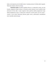 Informacijos kaupiklių rūšys ir veikimo principai 16 puslapis