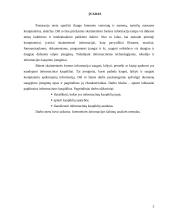 Informacijos kaupiklių rūšys ir veikimo principai 3 puslapis