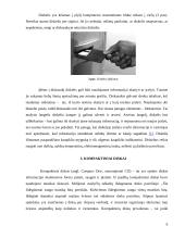 Informacijos kaupiklių rūšys ir veikimo principai 6 puslapis