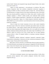 Informacijos kaupiklių rūšys ir veikimo principai 7 puslapis