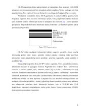 Informacijos kaupiklių rūšys ir veikimo principai 8 puslapis