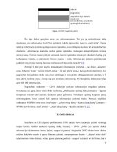 Informacijos kaupiklių rūšys ir veikimo principai 9 puslapis