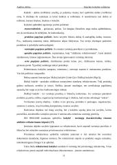 Statybos kokybės valdymas 11 puslapis