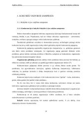 Statybos kokybės valdymas 10 puslapis
