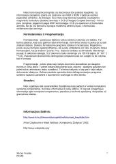 Informacijos laikmenos 7 puslapis