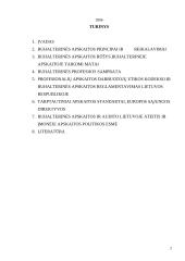 Informacijos sistemų esmė 2 puslapis