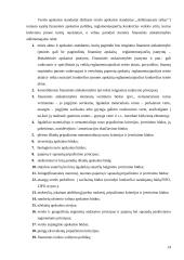 Informacijos sistemų esmė 14 puslapis