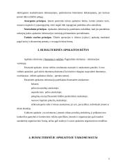 Informacijos sistemų esmė 5 puslapis