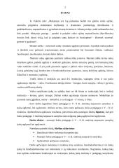 Šokio pedagogų ir V-X klasių mokinių tarpusavio santykiai ir jų įtaka ugdymui(-si) 2 puslapis