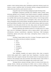 Šokio pedagogų ir V-X klasių mokinių tarpusavio santykiai ir jų įtaka ugdymui(-si) 6 puslapis