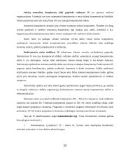 Informacinių sistemų tipai 11 puslapis