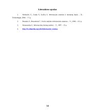 Informacinių sistemų tipai 14 puslapis