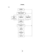 Informacinių sistemų tipai 15 puslapis