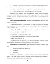 Informacinių sistemų tipai 9 puslapis