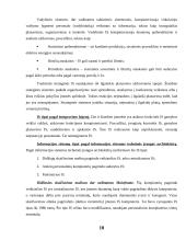 Informacinių sistemų tipai 10 puslapis