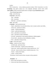 Informatikos ir darbo kompiuteriu pagrindai 15 puslapis