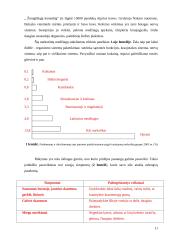 Ugdytinių požiūris į žalingus įpročius 10 puslapis