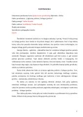 Ugdytinių požiūris į žalingus įpročius 2 puslapis