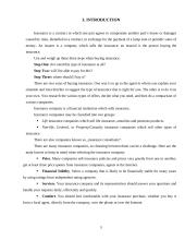 Insurance companies in Lithuania 5 puslapis