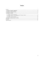 Interesų grupių vaidmuo politikos formavimo procese 2 puslapis