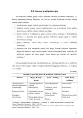 Interesų grupių vaidmuo politikos formavimo procese 13 puslapis