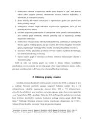 Interesų grupių vaidmuo politikos formavimo procese 5 puslapis