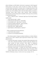 Interesų grupių vaidmuo politikos formavimo procese 7 puslapis