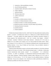 Internetinė žiniasklaida Lietuvoje 11 puslapis