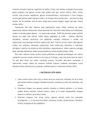 Vadovų tipai 12 puslapis