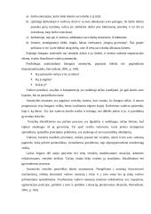 Vadovų tipai 5 puslapis