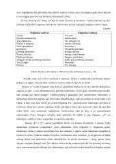 Vadovų tipai 7 puslapis