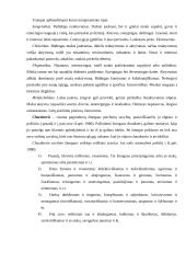 Vadovų tipai 9 puslapis