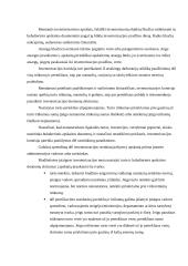 Inventorizacija 6 puslapis