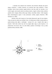 Vaistinio smidro introdukuotų veislių įvertinimas 13 puslapis