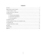 Įrangos nuomos sutarties teisinė analizė 2 puslapis