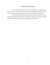 Įrangos nuomos sutarties teisinė analizė 11 puslapis