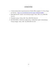 Įrangos nuomos sutarties teisinė analizė 13 puslapis