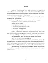 Įrangos nuomos sutarties teisinė analizė 3 puslapis