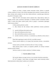 Įrangos nuomos sutarties teisinė analizė 4 puslapis