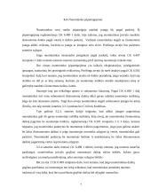 Įrangos nuomos sutarties teisinė analizė 7 puslapis