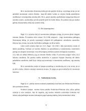 Įrangos nuomos sutarties teisinė analizė 8 puslapis