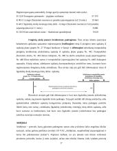 Įsipareigojimai. Įsipareigojimų vertinimas, kontrolė ir apskaita: eksporto, importo ir prekybos firma IĮ "Leksima" 17 puslapis